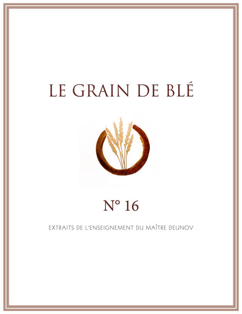 Grain de Blé N°16 - PDF
