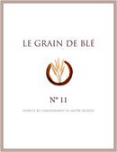 Grain de Blé N°11