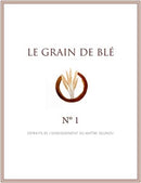 Grain de blé N°1 
