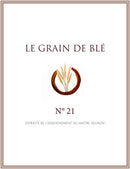 Grain de Blé N°11