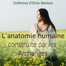 L'anatomie humaine construite par les Archanges