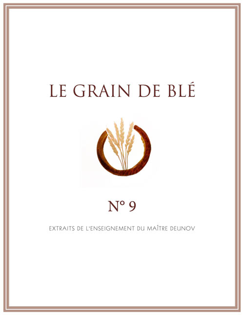 Grain de Blé N°9 - PDF