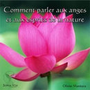 Comment parler aux anges et aux esprits de la nature