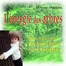 L'énergie des arbres, une force de résurrection intérieure