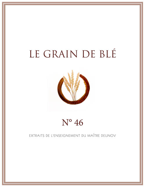 Grain de Blé N°46 - PDF