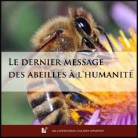 Le dernier message des abeilles à l'humanité