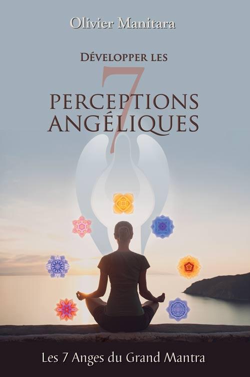 Développer les 7 perceptions angéliques PDF