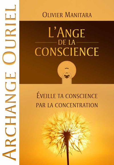 Tome 40 - L'Ange de la Conscience - Évangile Essénien De L’Archange Ouriel - Format PDF