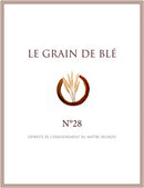 Grain de Blé N°28