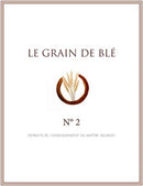 Grain de Blé N°2
