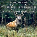 Se réconcilier avec les règnes de la nature et les mondes supérieurs
