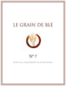 Grain de Blé N°7 - PDF