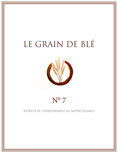 Grain de Blé N°7 - PDF