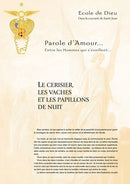 Le cerisier, les vaches et les papillons de nuit - Juin 2005