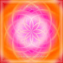 Une vie bien organisée, sans grand changement - Mandala d'énergie